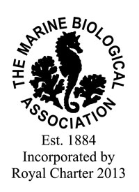 MBA-for-advert-May-2015
