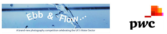 ebb-flow-banner